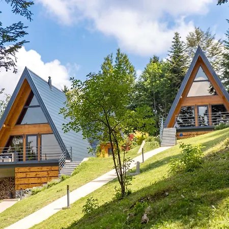 Chalet Gorska Bajka - Borovica, Planinska Kuca Za Odmor I Wellness Stara Susica