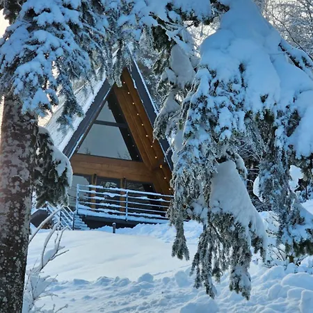 Gorska Bajka - Borovica, Planinska Kuca Za Odmor I Wellness Chalet Stara Susica