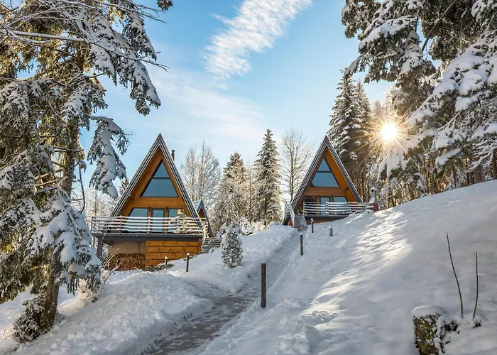 Gorska Bajka - Borovica, Planinska Kuca Za Odmor I Wellness *
